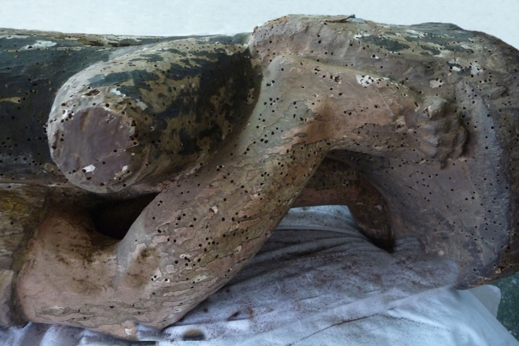 anobium restauracion