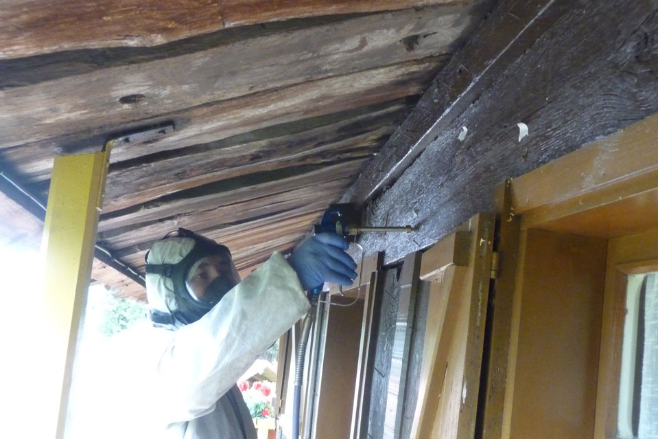 estudios e informes de restauracion en asturias