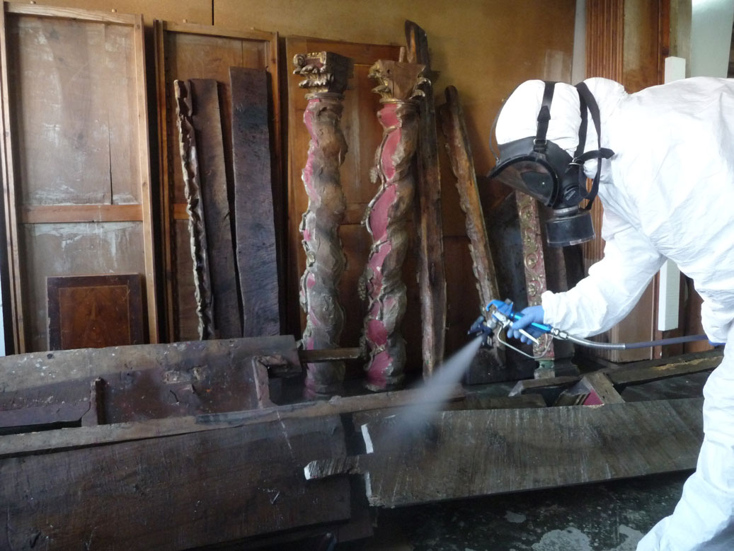 tratamientos antixilógafos en asturias